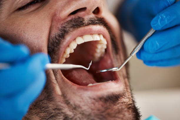 Best Emergency Dental Services Near Me  in South Monroe, MI